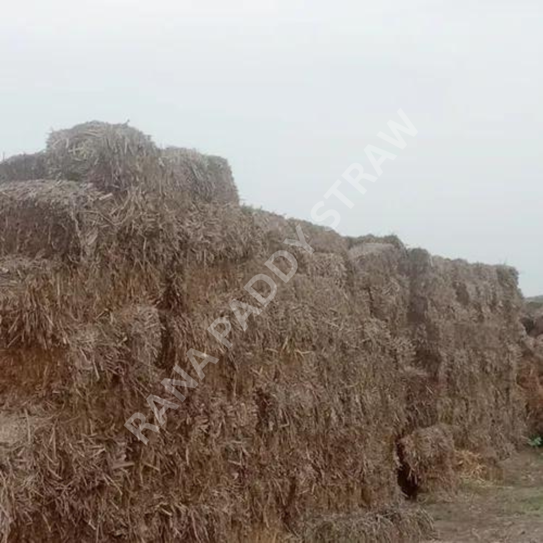 Cane Trush Square Bales
